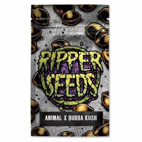 Ripper Seeds Animal Cookies x Bubba Kush Limited - 3 feminisierte Samen