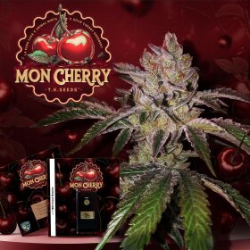 T.H. Seeds Mon Cherry - 6 feminisierte Samen