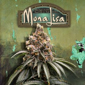 T.H. Seeds Mona Lisa - 6  feminisierte Samen