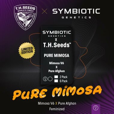 T.H. Seeds X Symbiotic Genetics Pure Mimosa - 6...