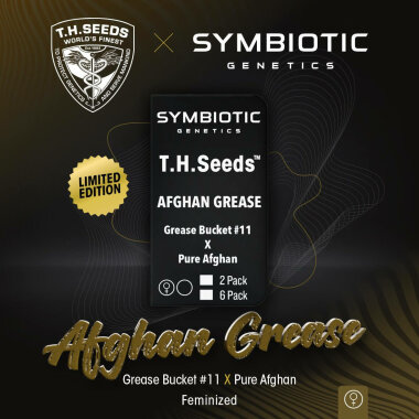 T.H. Seeds X Symbiotic Genetics Afghan Grease - 6 feminisierte Samen