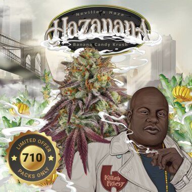 T.H. Seeds Hazanana Sundae 710 Special Pack - 7+1...