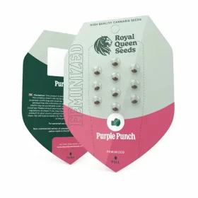 Royal Queen Seeds Purple Punch - 3 feminisierte Samen