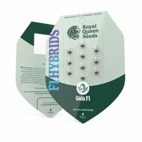 Royal Queen Seeds Gaia F1 AUTO - 3 automatisierte Samen