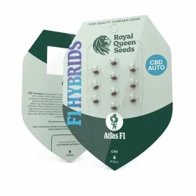 Royal Queen Seeds Atlas F1 AUTO - 3 automatisierte Samen