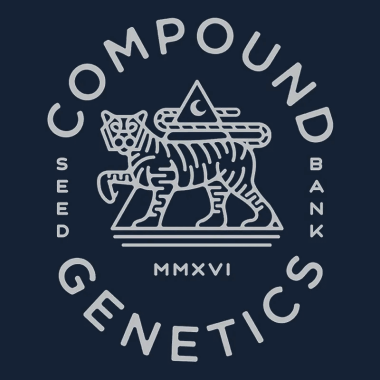 Compound Genetics Crystal Chalice *Grape Gas* - 7 feminisierte Samen